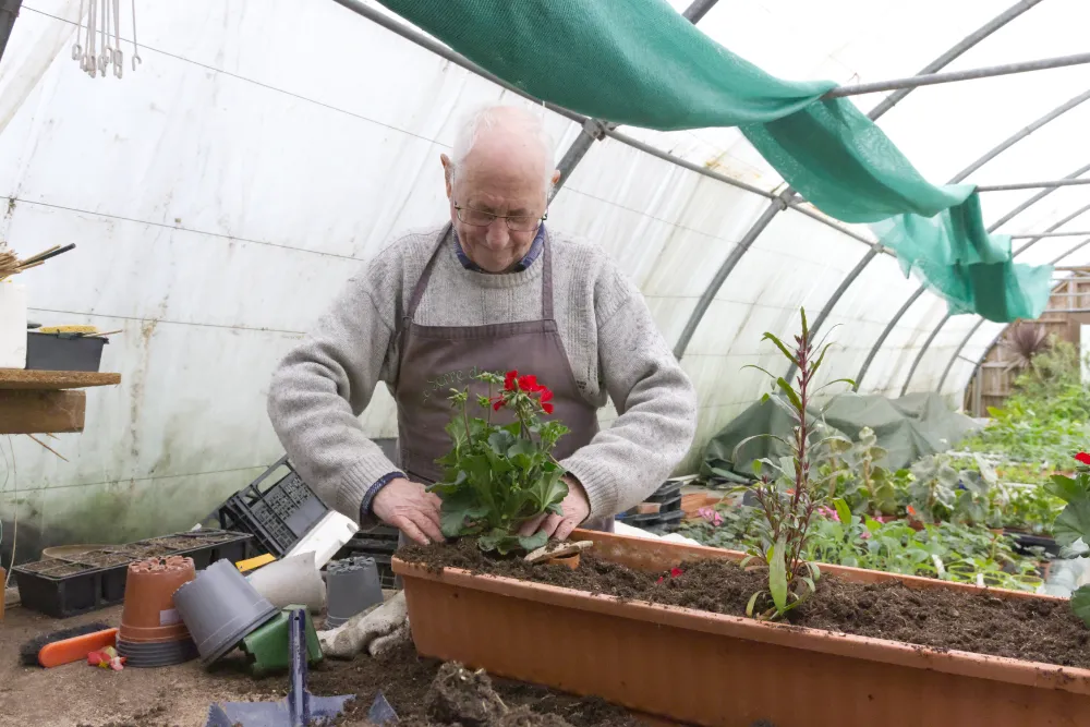 Horticulture Rambervillers