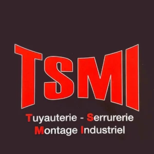 Logo TSMI